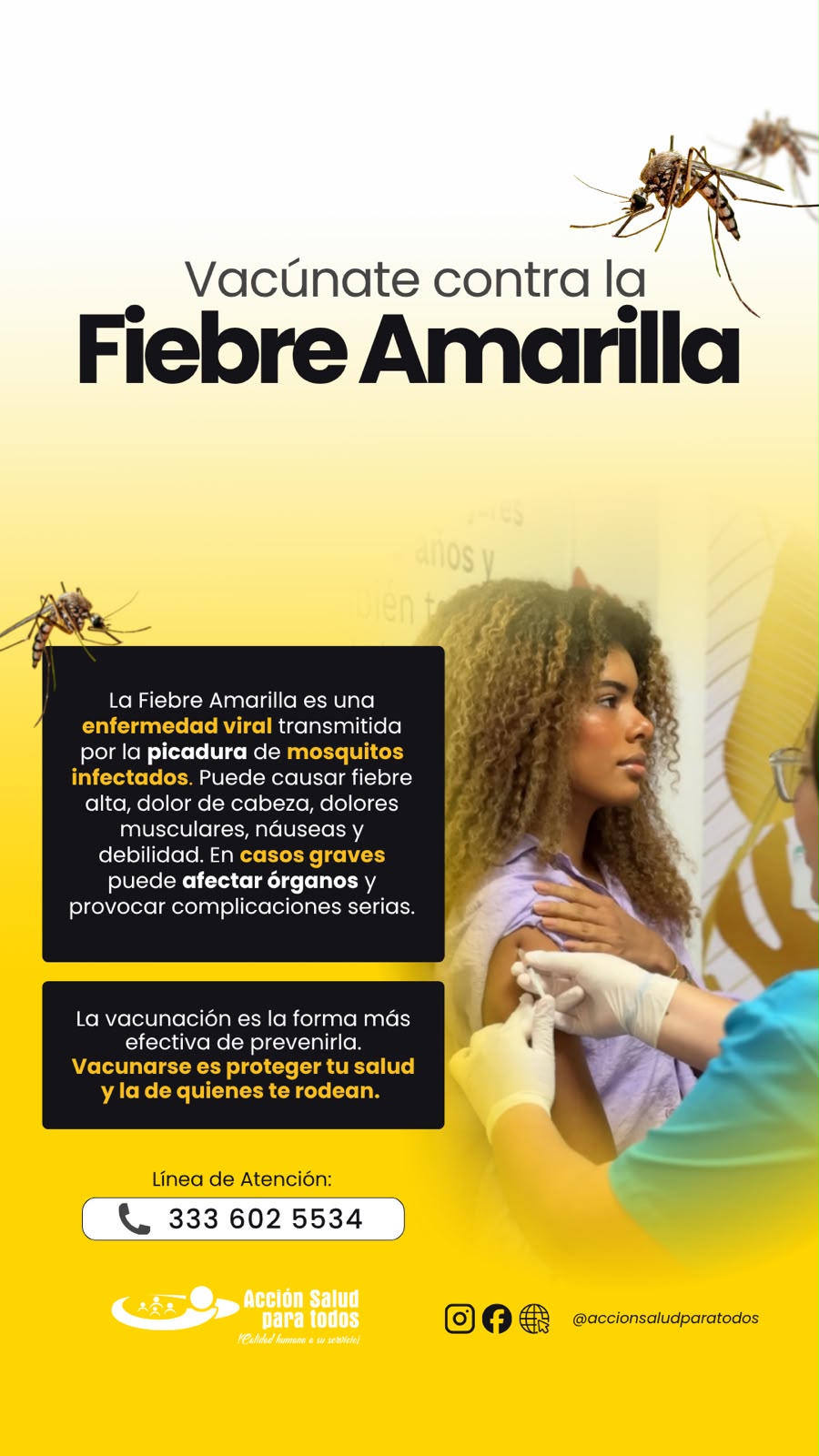Campaña Fiebre Amarilla